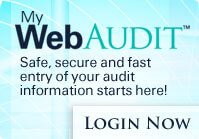 Web Audit
